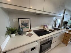 The Skywoods (D23), Condominium #481416801
